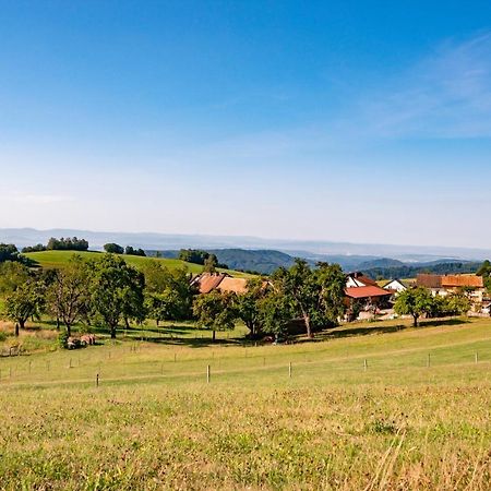 Hofgut Leo Hotel Zell im Wiesenthal Ngoại thất bức ảnh